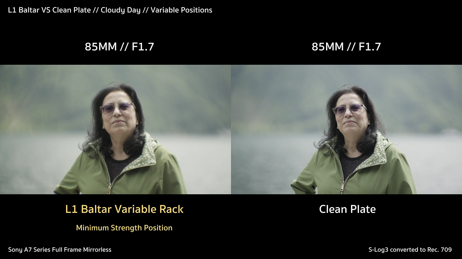 L1 vs Clean Plate Cloudy Day