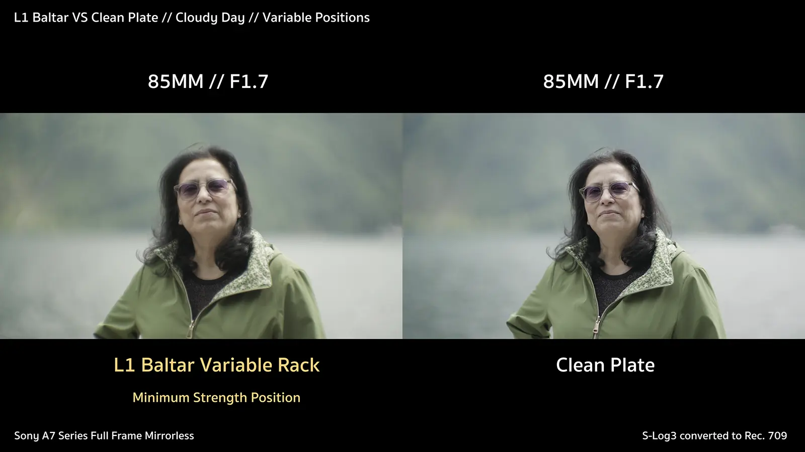 L1 vs Clean Plate Cloudy Day