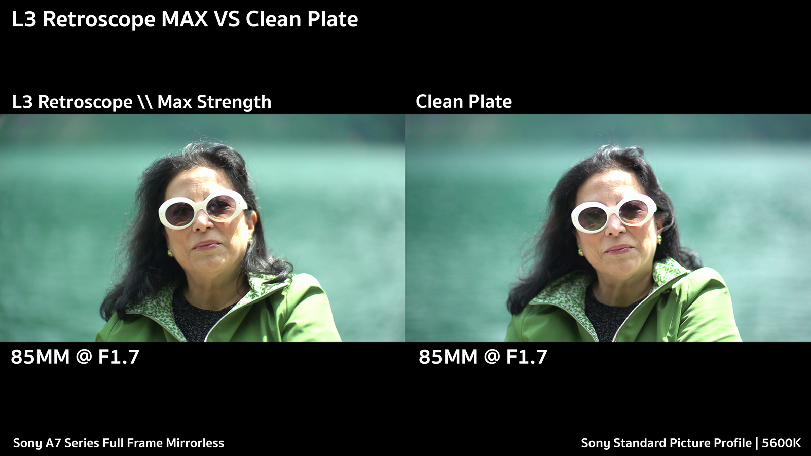 L3 Retroscope vs Clean Plate Sunny Day