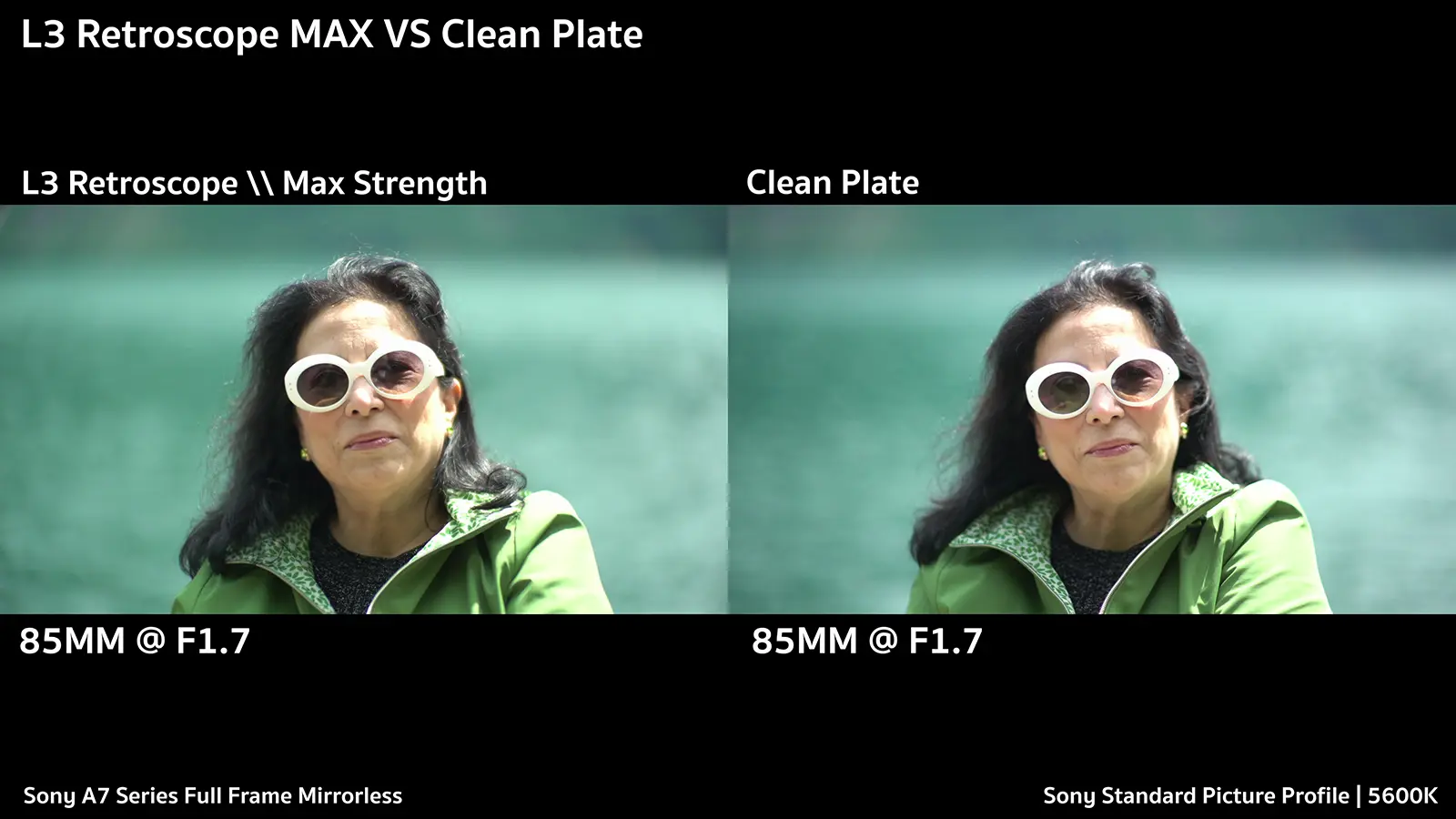 L3 Retroscope vs Clean Plate Sunny Day